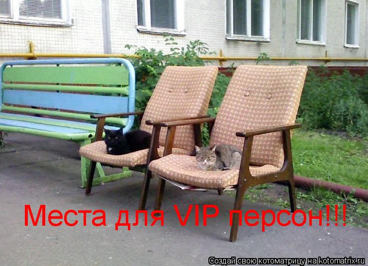 Котоматрица: Места для VIP персон!!!