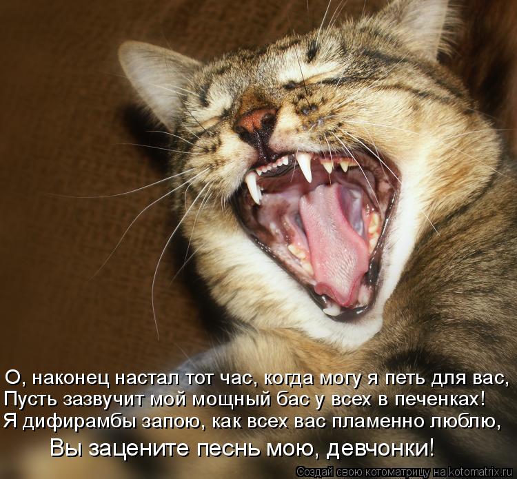 О, наконец настал тот час, когда могу я петь для вас, Пусть зазвучит мой мощный бас у всех в печенках... Котоматрица: О, наконец настал тот час, когда могу я петь для вас, Пусть зазвучит мой мощный бас у всех в печенках! Я дифирамбы запою, как всех вас пламенно