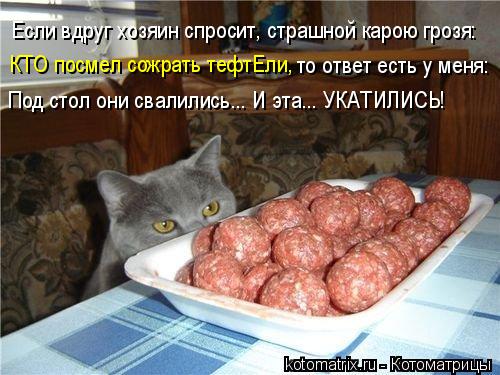 Если вдруг хозяин спросит, страшной карою грозя: КТО посмел сожрать тефтЕли, то ответ есть у меня: П... Котоматрица: Если вдруг хозяин спросит, страшной карою грозя: КТО посмел сожрать тефтЕли, то ответ есть у меня: Под стол они свалились... И эта... УКАТИЛИСЬ