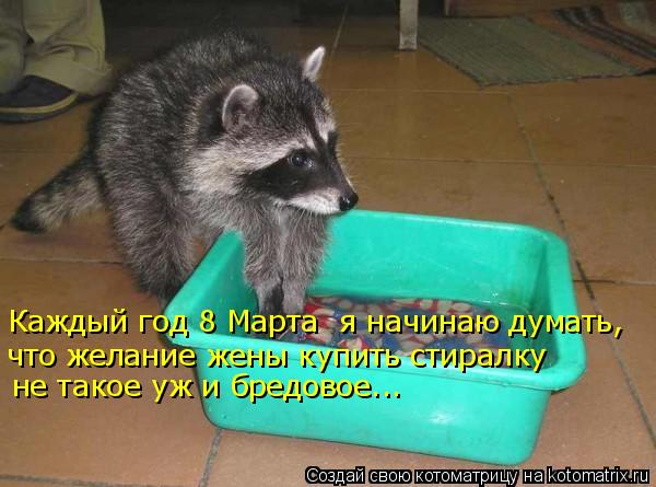 Каждый год 8 Марта я начинаю думать, что желание жены купить стиралку не такое уж и бредовое...... Котоматрица: Каждый год 8 Марта я начинаю думать, что желание жены купить стиралку не такое уж и бредовое...