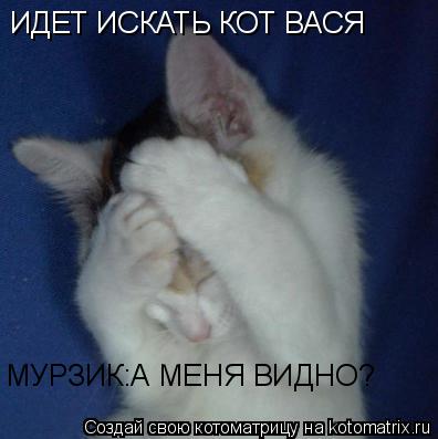 Котоматрица: ИДЕТ ИСКАТЬ КОТ ВАСЯ МУРЗИК:А МЕНЯ ВИДНО?