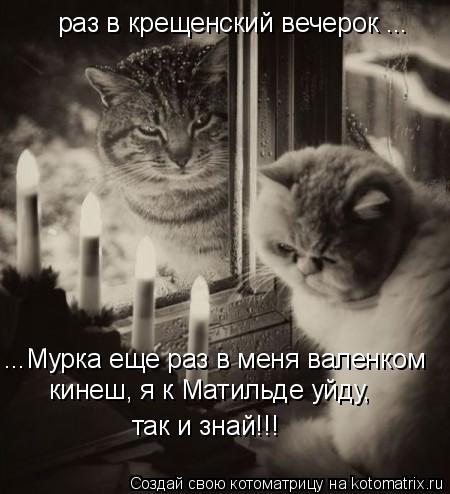 Котоматрица: раз в крещенский вечерок ... ...Мурка еще раз в меня валенком  кинеш, я к Матильде уйду,  так и знай!!!