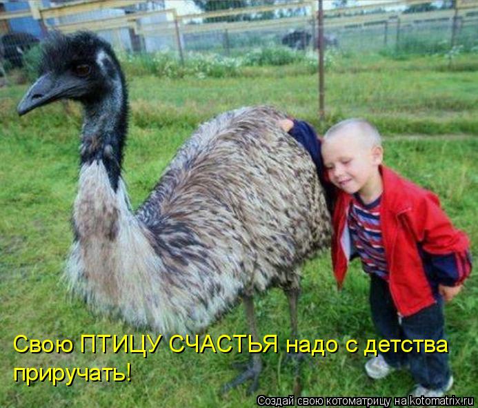 Котоматрица: Свою ПТИЦУ СЧАСТЬЯ надо с детства приручать!