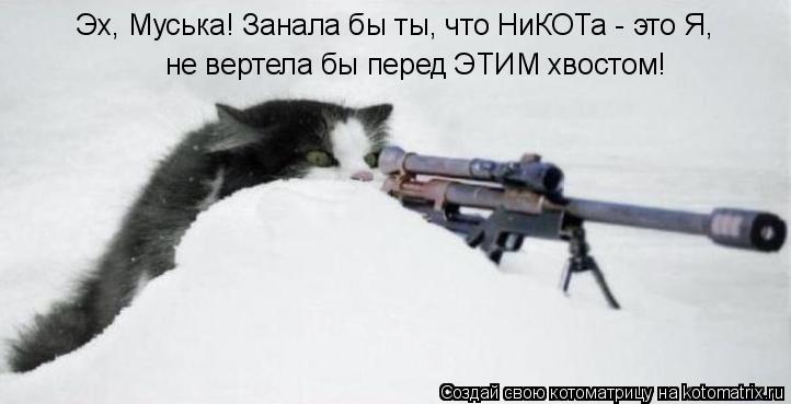 Котоматрица: Эх, Муська! Занала бы ты, что НиКОТа - это Я, не вертела бы перед ЭТИМ хвостом!