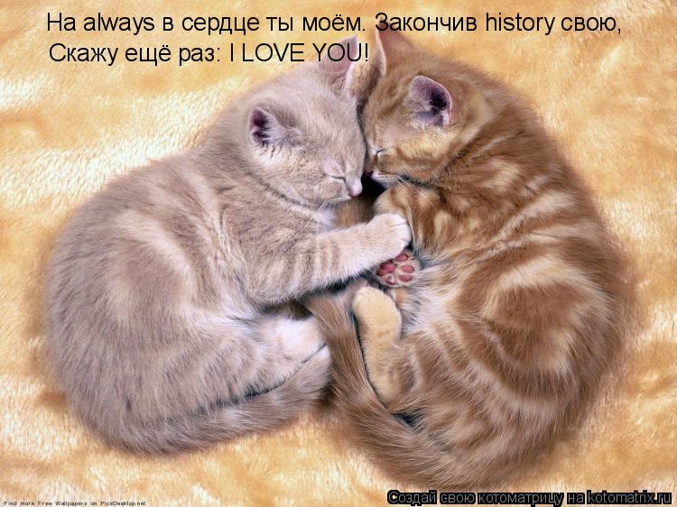 На always в сердце ты моём. Закончив history свою, Скажу ещё раз: I LOVE YOU!... Котоматрица: На always в сердце ты моём. Закончив history свою, Скажу ещё раз: I LOVE YOU!