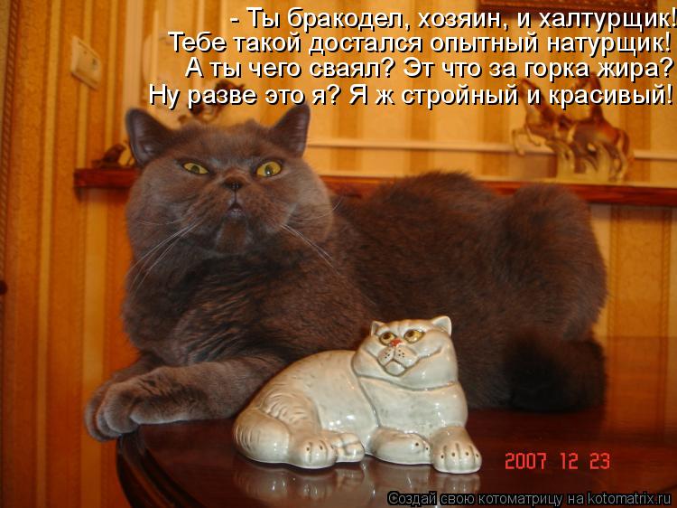 - Ты бракодел, хозяин, и халтурщик! Тебе такой достался опытный натурщик! А ты чего сваял? Эт что за ... Котоматрица: - Ты бракодел, хозяин, и халтурщик! Тебе такой достался опытный натурщик! А ты чего сваял? Эт что за горка жира? Ну разве это я? Я ж стройный и к