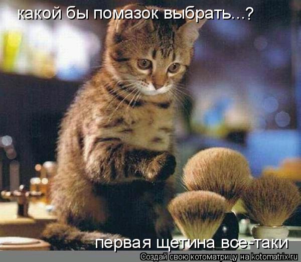 Котоматрица: какой бы помазок выбрать... ? первая щетина все-таки