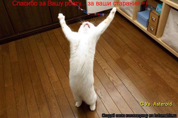 Котоматрица: Спасибо за Вашу рботу... за ваши старания =) С Ув. Asteroid