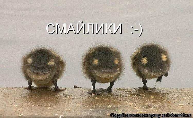 Котоматрица: СМАЙЛИКИ  :-)