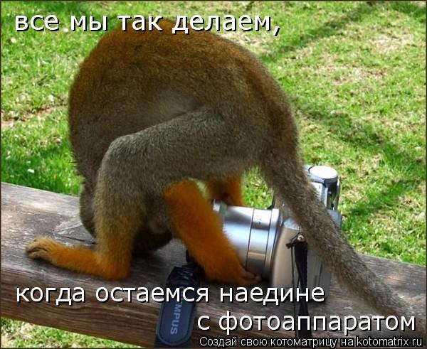Котоматрица: все мы так делаем,  когда остаемся наедине  с фотоаппаратом