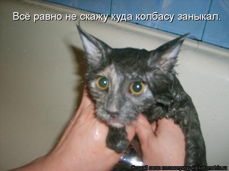 Котоматрица: Всё равно не скажу куда колбасу заныкал.