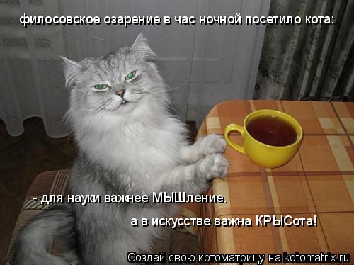 Котоматрица: филосовское озарение в час ночной посетило кота: - для науки важнее МЫШление.  а в искусстве важна КРЫСота!
