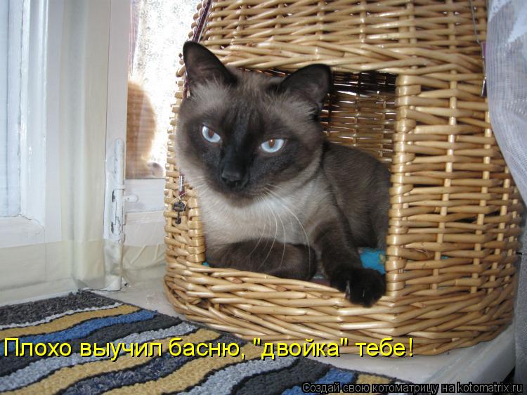 Котоматрица: Плохо выучил басню, "двойка" тебе!