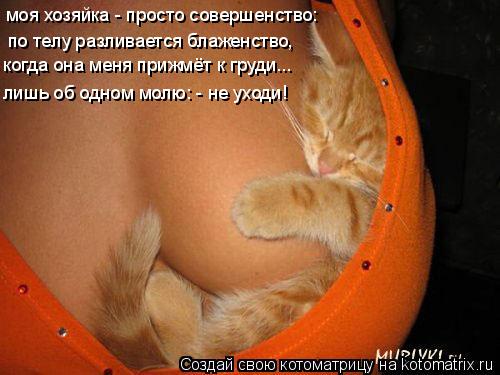 Котоматрица: моя хозяйка - просто совершенство: по телу разливается блаженство, когда она меня прижмёт к груди... лишь об одном молю: - не уходи!