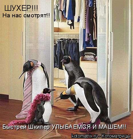 Котоматрица: ШУХЕР!!! На нас смотрят!! Быстрей Шкипер УЛЫБАЕМСЯ И МАШЕМ!!