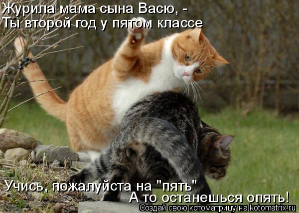 Котоматрица: Ты второй год у пятом классе Учись, пожалуйста на "пять" А то останешься опять! Журила мама сына Васю, -
