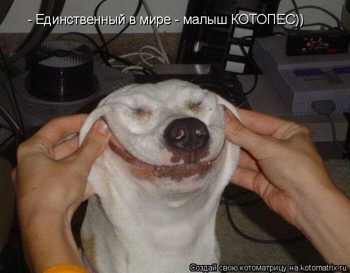 - Единственный в мире - малыш КОТОПЕС))... Котоматрица: - Единственный в мире - малыш КОТОПЕС))