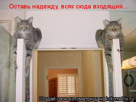 Оставь надежду, всяк сюда входящий...... Котоматрица: Оставь надежду, всяк сюда входящий...