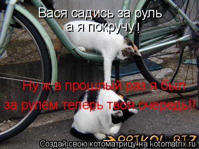 Котоматрица: Вася садись за руль а я покручу ! Ну ж в прошлый раз я был за рулём теперь твоя очередь!!