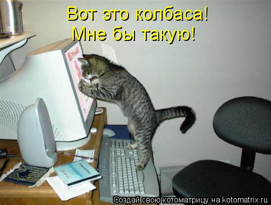 Котоматрица: Вот это колбаса! Мне бы такую!