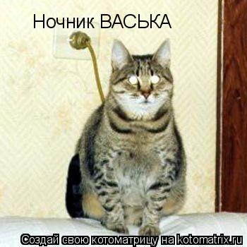 Котоматрица: Ночник ВАСЬКА