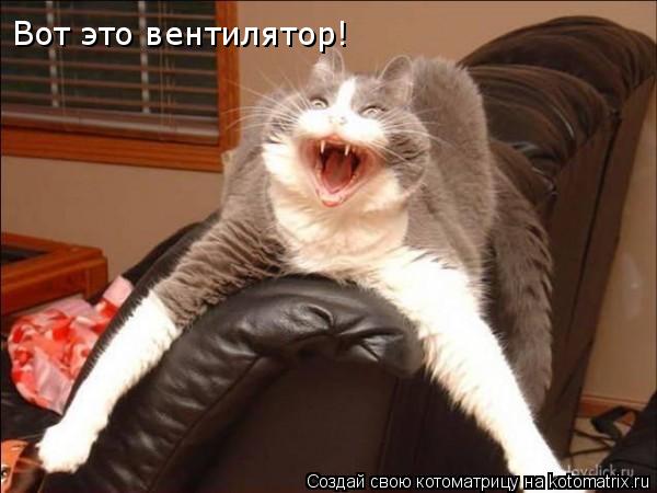 Котоматрица: Вот это вентилятор!