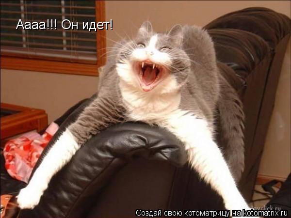Котоматрица: Аааа!!! Он идет!