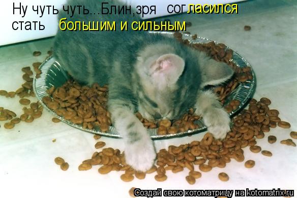 Котоматрица: Ну чуть чуть...Блин,зря  сог ласился большим и сильным стать