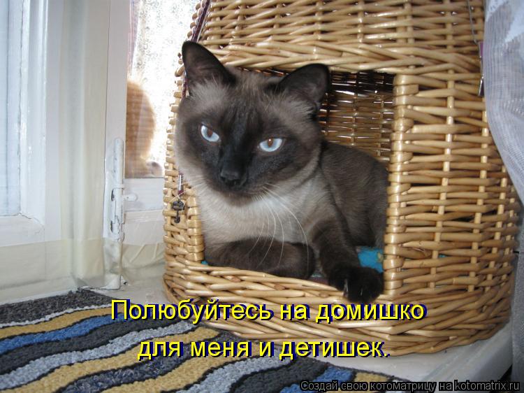 Котоматрица: Полюбуйтесь на домишко для меня и детишек. Полюбуйтесь на домишко для меня и детишек.