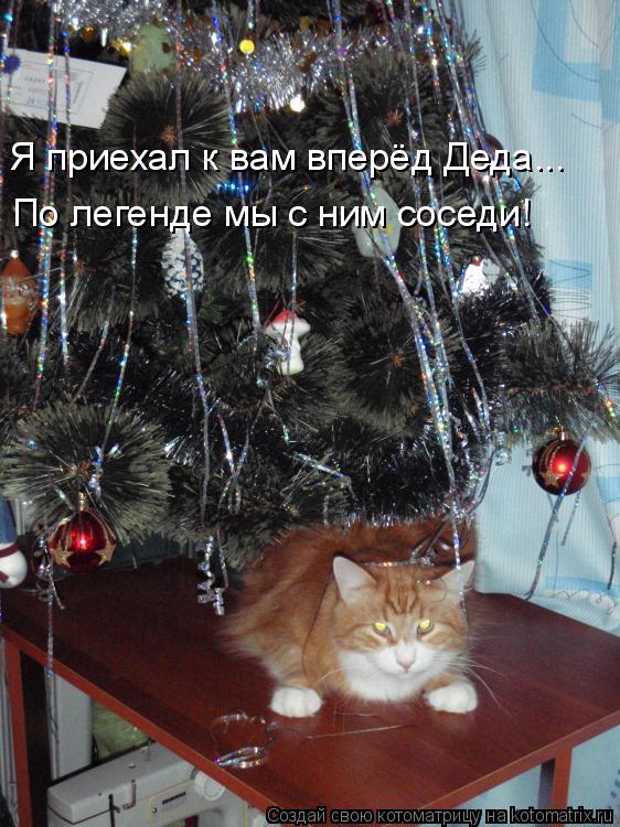 Я приехал к вам вперёд Деда... По легенде мы с ним соседи!... Котоматрица: Я приехал к вам вперёд Деда... По легенде мы с ним соседи!