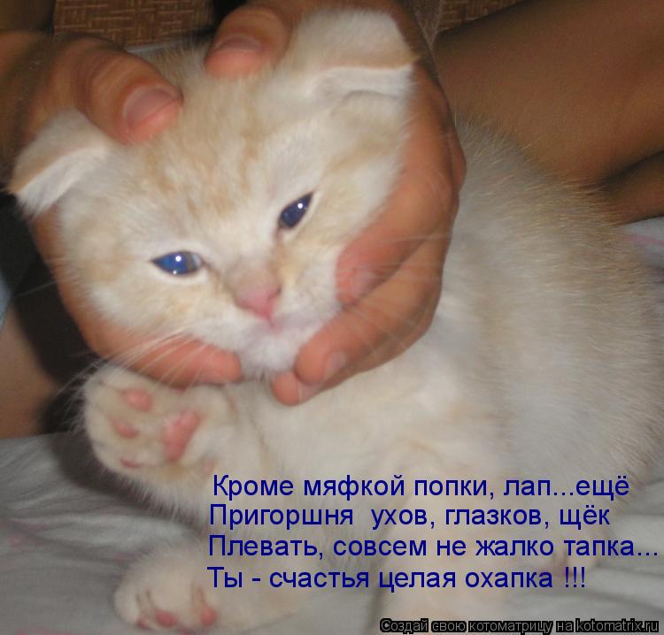 Котоматрица: Кроме мяфкой попки, лап...ещё Пригоршня  ухов, глазков, щёк  Плевать, совсем не жалко тапка... Ты - счастья целая охапка !!!