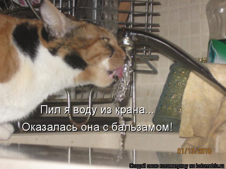 Котоматрица: Пил я воду из крана... Оказалась она с бальзамом!