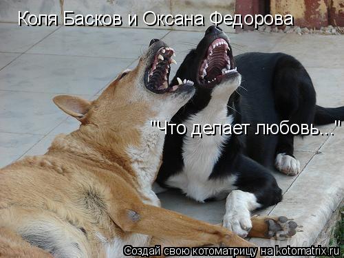 Котоматрица: Коля Басков и Оксана Федорова "Что делает любовь..."