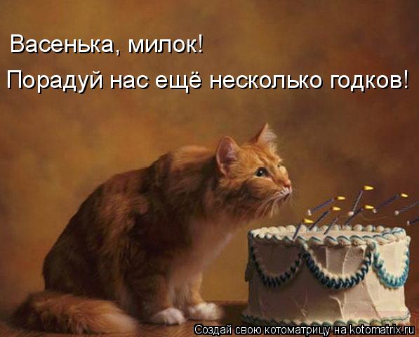 Котоматрица: Васенька, милок! Порадуй нас ещё несколько годков!