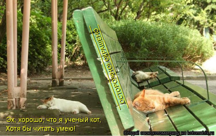 Котоматрица: ОСТОРОЖНО! ОКРАШЕНО __________________________ __________________________ Эх, хорошо, что я ученый кот, Хотя бы читать умею!