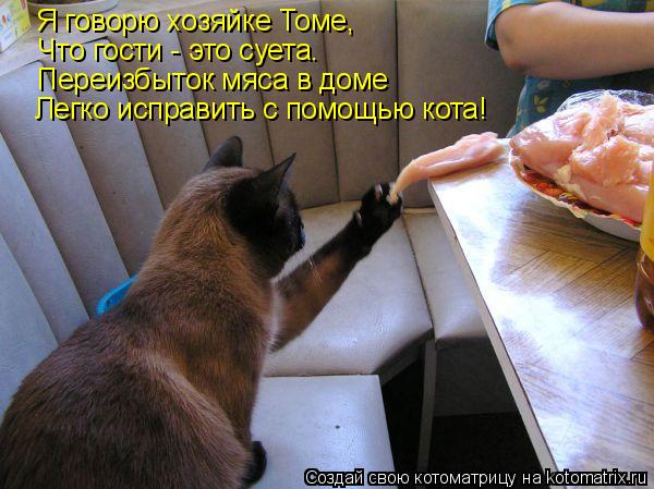Я говорю хозяйке Томе, Что гости - это суета. Переизбыток мяса в доме Легко исправить с помощью кота!... Котоматрица: Я говорю хозяйке Томе, Что гости - это суета. Переизбыток мяса в доме Легко исправить с помощью кота!