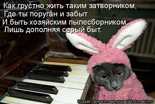 Где ты поруган и забыт Лишь дополняя серый быт. Как грустно жить таким затворником, И быть хозяйским ... Котоматрица: Где ты поруган и забыт Лишь дополняя серый быт. Как грустно жить таким затворником, И быть хозяйским пылесборником,