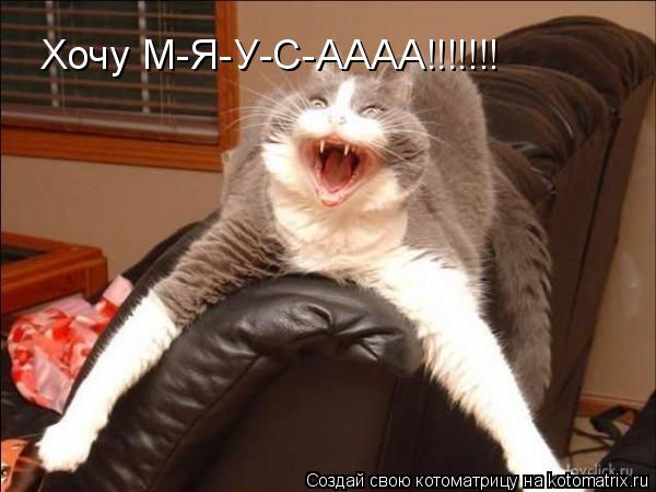 Хочу М-Я-У-С-АААА!!!!!!!... Котоматрица: Хочу М-Я-У-С-АААА!!!!!!!