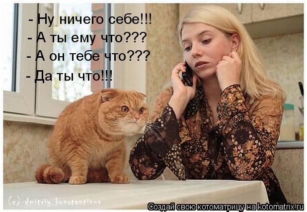 Котоматрица: - Ну ничего себе!!! - А ты ему что??? - А он тебе что??? - Да ты что!!!