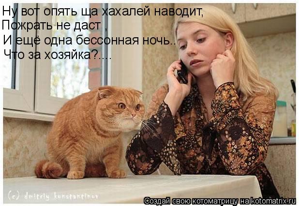 Котоматрица: Ну вот опять ща хахалей наводит  Ну вот опять ща хахалей наводит,  Пожрать не даст , И ещё одна бессонная ночь.. Что за хозяйка?....