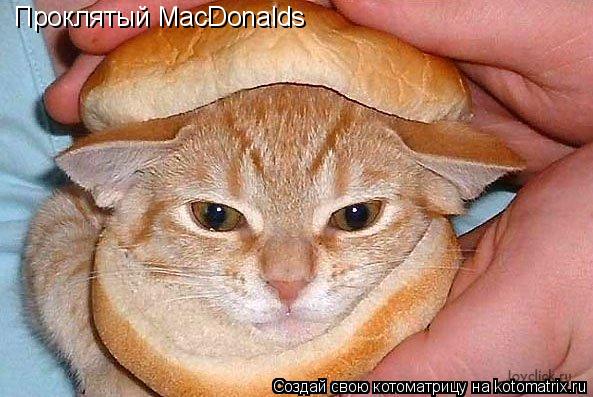 Котоматрица: Проклятый MacDonalds