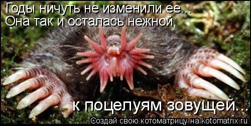 Котоматрица: Годы ничуть не изменили ее... Она так и осталась нежной,  к поцелуям зовущей...