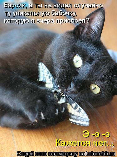 Барсик, а ты не видел случайно ту уникальную бабочку, которую я вчера приобрел? Кажется нет... Э -э ... Котоматрица: Барсик, а ты не видел случайно ту уникальную бабочку, которую я вчера приобрел? Кажется нет... Э -э -э