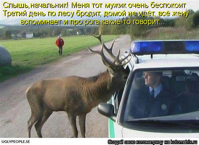 Котоматрица: Слышь,начальник! Меня тот мужик очень беспокоит Третий день по лесу бродит, домой не идёт, всё жену  вспоминает и про рога какие-то говорит...