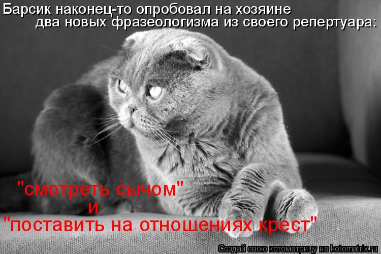 Барсик наконец-то опробовал на хозяине два новых фразеологизма из своего репертуара: "смотреть сычом"... Котоматрица: Барсик наконец-то опробовал на хозяине два новых фразеологизма из своего репертуара: "смотреть сычом" и "поставить на отношениях крест"