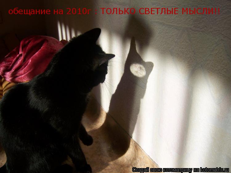 Котоматрица: обещание на 2010г : ТОЛЬКО СВЕТЛЫЕ МЫСЛИ!!