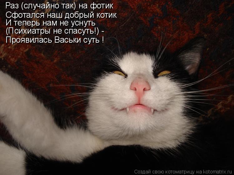 Сфотался наш добрый котик И теперь нам не уснуть (Психиатры не спасуть!) - Проявилась Васьки суть ! Р... Котоматрица: Сфотался наш добрый котик И теперь нам не уснуть (Психиатры не спасуть!) - Проявилась Васьки суть ! Раз (случайно так) на фотик