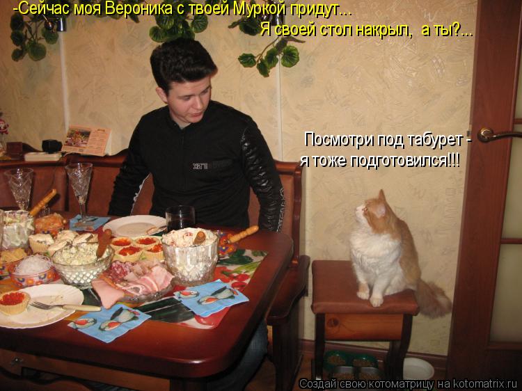-Сейчас моя Вероника с твоей Муркой придут... Я своей стол накрыл, а ты?... Посмотри под табурет - ... Котоматрица: -Сейчас моя Вероника с твоей Муркой придут... Я своей стол накрыл, а ты?... Посмотри под табурет - я тоже подготовился!!!