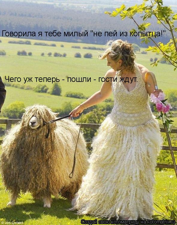Говорила я тебе милый "не пей из копытца!" Чего уж теперь - пошли - гости ждут.... Котоматрица: Говорила я тебе милый "не пей из копытца!" Чего уж теперь - пошли - гости ждут.