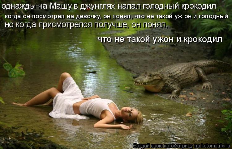 однажды на Машу в джунглях напал голодный крокодил , когда он посмотрел на девочку, он понял, что не ... Котоматрица: однажды на Машу в джунглях напал голодный крокодил , когда он посмотрел на девочку, он понял, что не такой уж он и голодный но когда присмотр